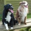 Socke und Neelah